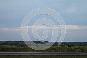 Road side vegetation 2384