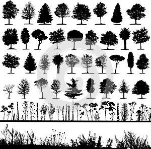 Trees, grass, plant vector photo