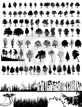 Trees, grass, plant vector