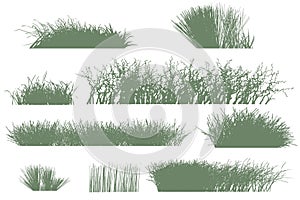 trees and grass silhouettes