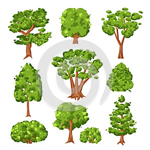 Trees and green bushes set isolated on white background