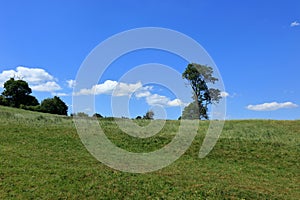 Trees and green fields in the beautiful Westerham countryside