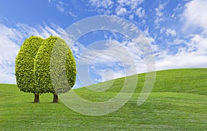 Trees on green grass hill