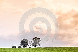 Trees and green hills under evening vanilla sky