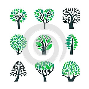 Trees with Green Leaves on Branches Set Isolated on White Background. Summer or Spring Season Foliar Plants