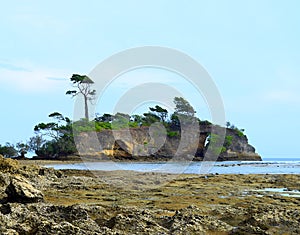 Trees and Greenery over an Island in Sea with Shore with Coral Stones in Foreground, Neil Island, Andaman - Holm or Skerry