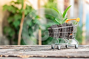 Trees grow on compost and mini shopping cart