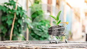 Trees grow on compost and mini shopping cart