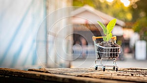 Trees grow on compost and mini shopping cart