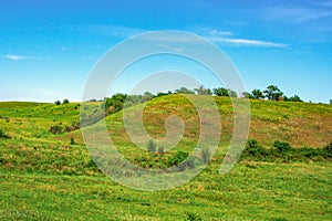 Trees grow on the hills covered with green grass. Green hill