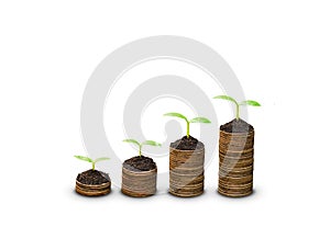 Trees growing on coins