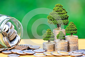 Trees growing on coins money and glass bottle on green background, investment and business concept