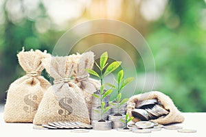 Trees growing on coins money with money bag on green background, investment and business concept