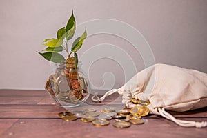 Trees growing on coins money and red arrow with money bag