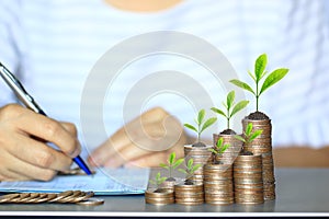 Trees growing on coins money and woman hand a pen on bank account passbook, Business investment and Save money for prepare in
