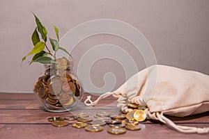 Trees are growing from money bags and trees growing on a pile of money,