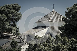 Trees growing near church building