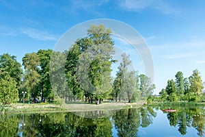 Trees growing near the lake in a park in spring. Spring landscape. Nice sunny weather.