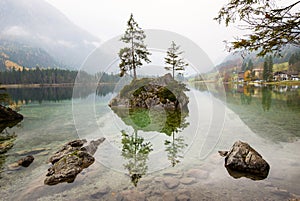 Trees growing on a rock in Lake Hintersee, Ramsau, Bavaria, Germany