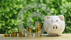 Trees growing on stack of coins with piggy bank against green bokeh background.