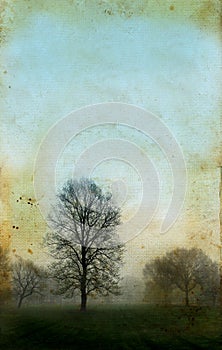 Trees on a Grunge Background