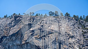 Trees high on a ridge, Upper Yosemite Falls Trail, Yosemite Nat`l Park, CA