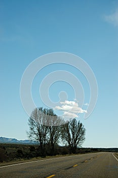 Trees on highway, blue sky, Utah