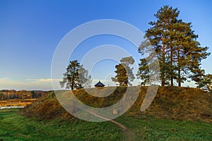 Trees on the hill