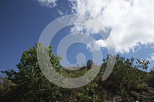 Trees on the Hill and Blue Sky with White Clouds in Brazil