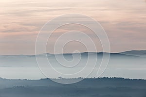 Alberi colline un nebbia 