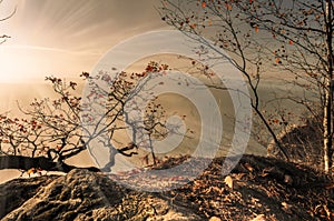 Trees on hills surrounded by rocky outcrops under the bright sunlight in autumn