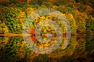Trees on a hillside turning colors in the fall and reflecting off of the Allegheny River in Warren County, Pennsylvania, USA