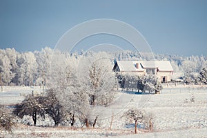 Trees and houses all are frosty, cold winter