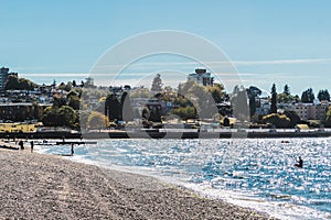 Trees and Houses at Kitsilano Beach in Vancouver, Canada