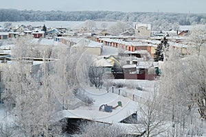 Trees and houses in the snow top view