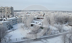 Trees and houses in the snow top view