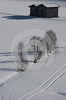 Trees and hut on the snowy plateau photo