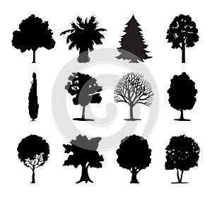 Trees icon