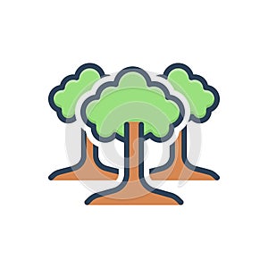 Color illustration icon for Trees, greenstuff and nature photo
