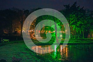 Trees illuminated by a green light during Winterfair Engbergen 2016