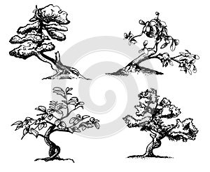 Trees illustration