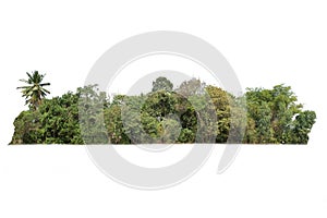 Trees island, Large bushes isolated on white background photo