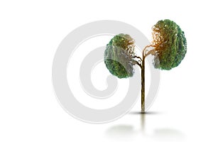 Trees kidneys, 3D environmental and medical concepts