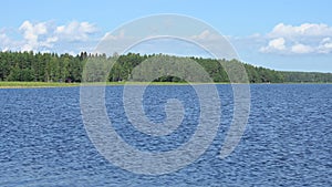 Trees on a lake bank, bright summer day in Finland