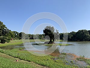 Trees and lake in Rai Mae Fah Luang