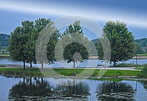 Trees on Lake with Reflection