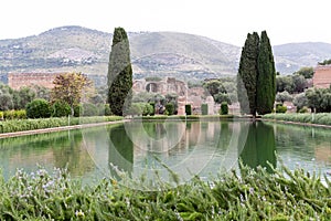 Trees with lake reflection and mountain