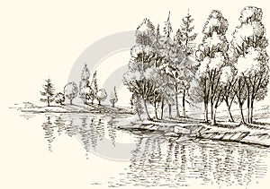 Trees on lake shore sketch