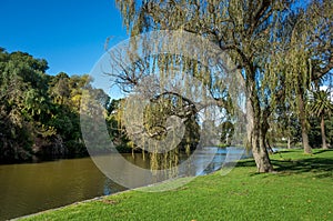 Trees, lake, and well-maintained grass lawn at the picturesque Coburg Lake Reserve, Melbourne Australia. Background texture of