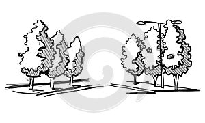 Trees for a landscape design. Different hand drawn trees isolated on white background, sketch, architectural drawing